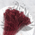Broom Bloom Bordowy 3.png
