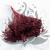 Broom Bloom Bordowy 1.png