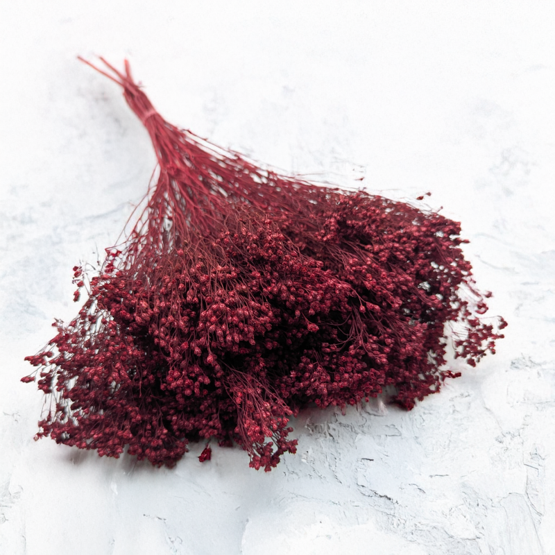 Broom Bloom Bordowy 1.png