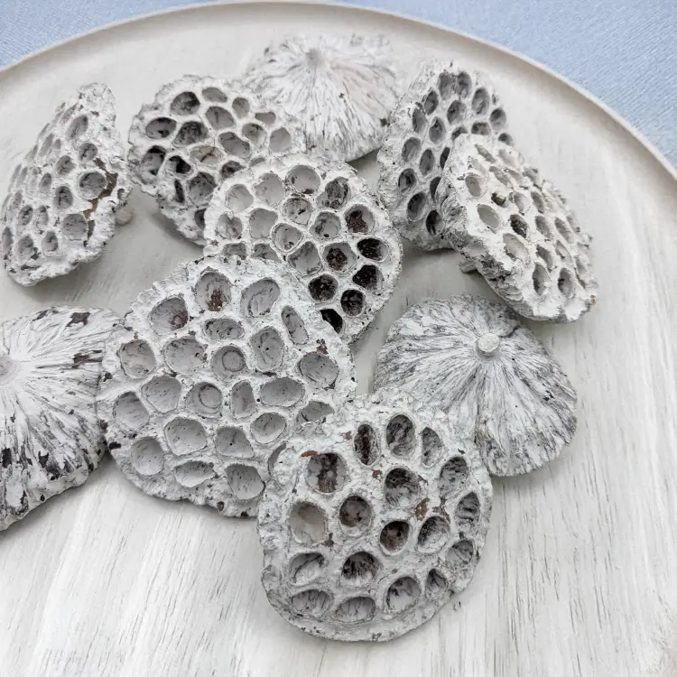 Lotos duży XXL bielony 3.png