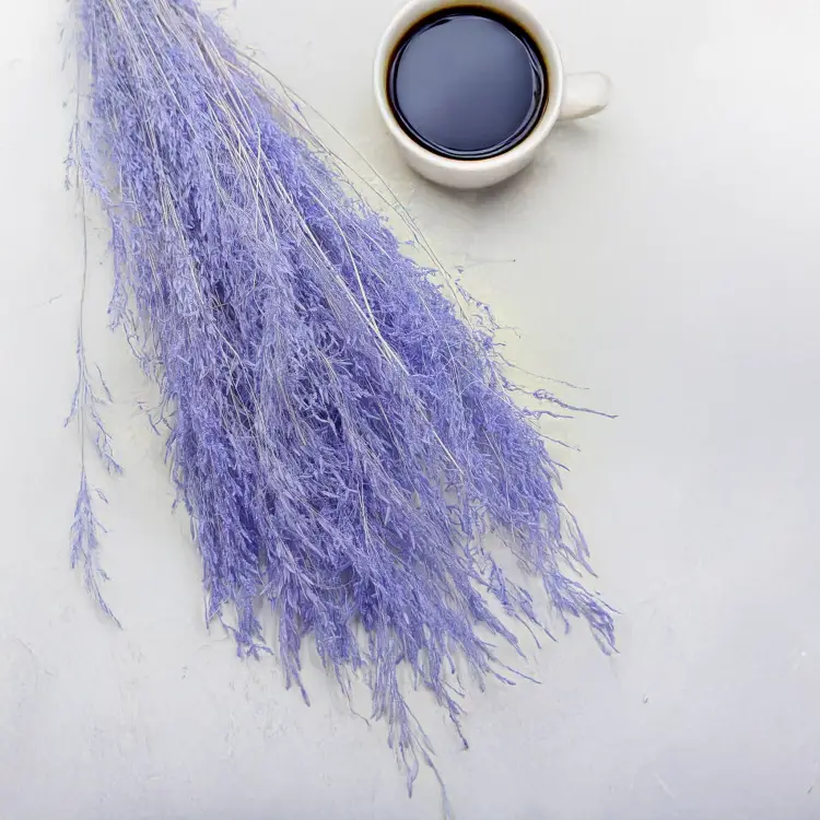 Briza Segromigno Lavenda 5.png