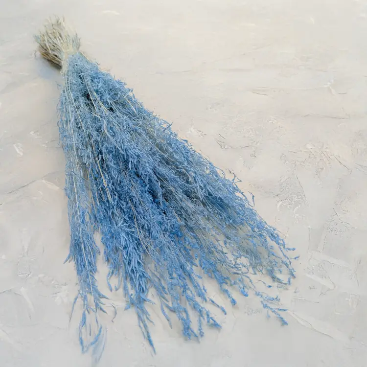 Briza Segromigno Sky Blue.png