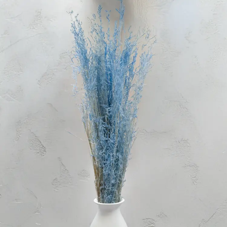 Briza Segromigno Sky Blue 3.png