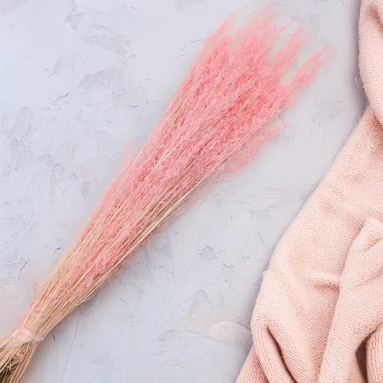 Briza Segromigno Pink 2.png