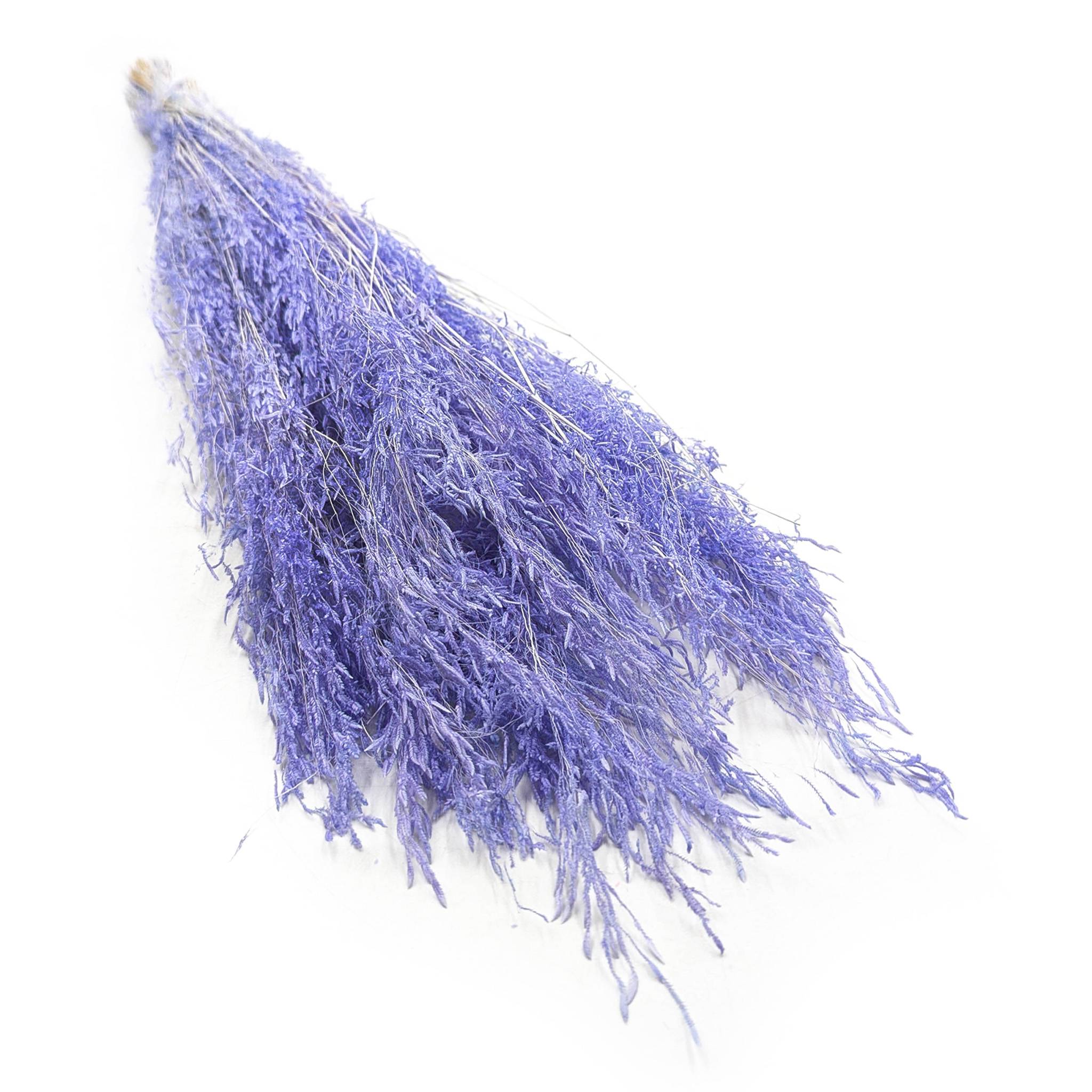 Dried Quaking Grass - (Briza Segromigno) - Lavender