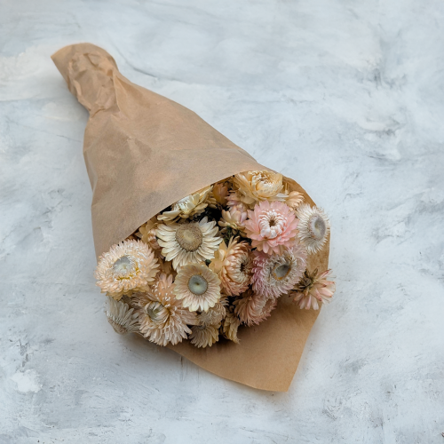 Kocanka Jasny róż PLS 1.png