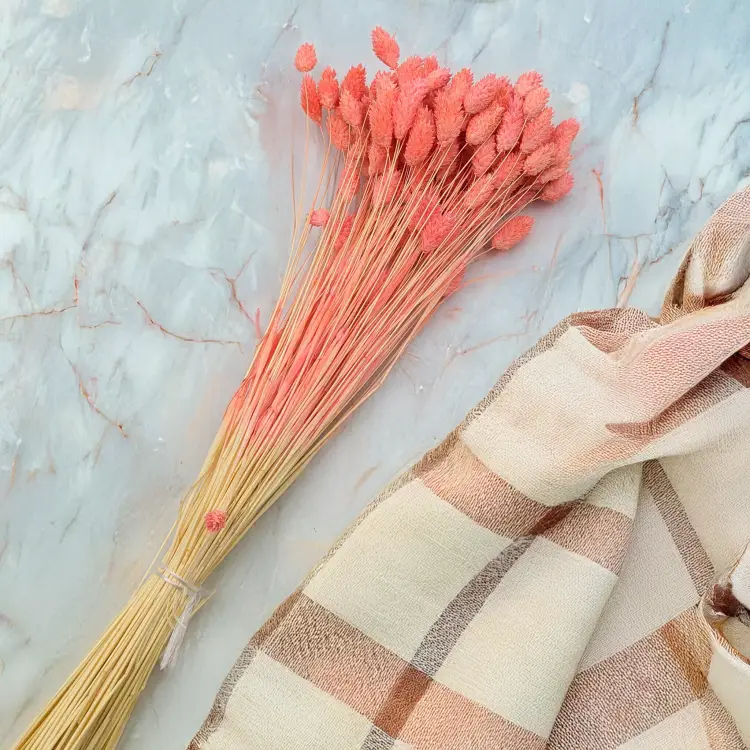 Kanar koralowy 3.png