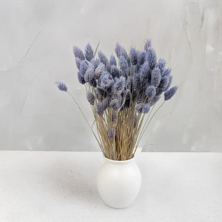 Kanar niebieski jeans 4.png