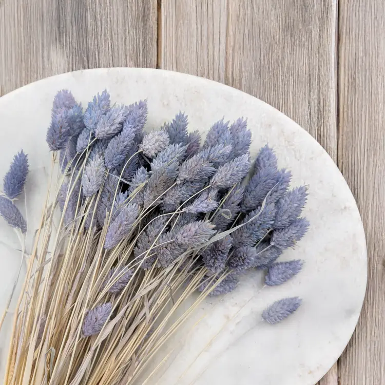 Kanar niebieski jeans 2.png