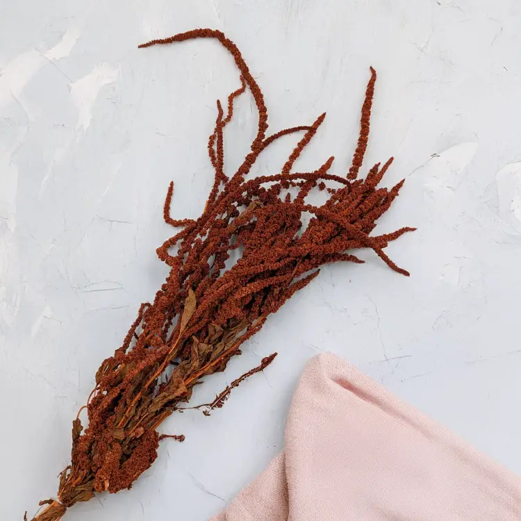 Szrałat dark terracotta 6.png