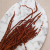 Szrałat dark terracotta 3.png