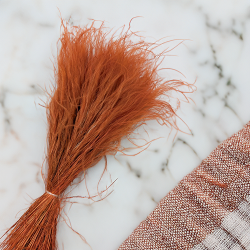 Stipa Ciemna terakota 3.png