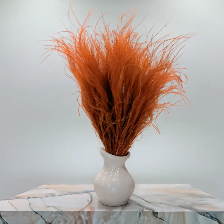 Stipa Ciemna terakota 5.png