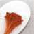 Broom Bloom Ciemna Terakota bordo 2.jpg
