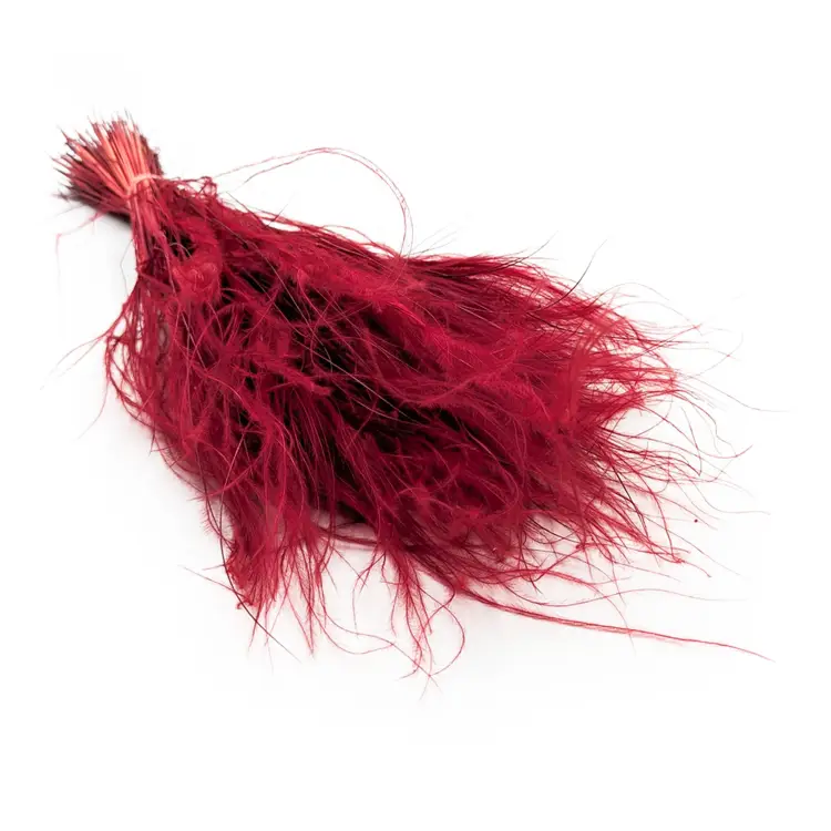 Stipa Bordeaux.jpg