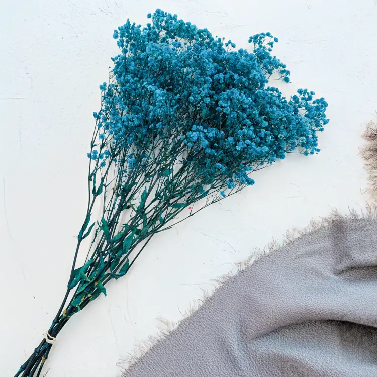 Gips Blue Royal 11 3.png