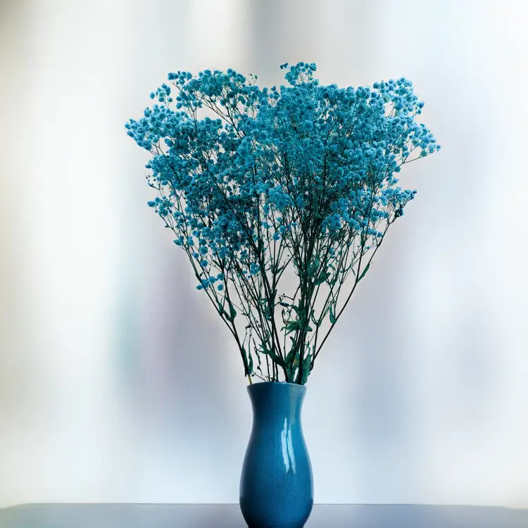 Gips Blue Royal 11 4.png