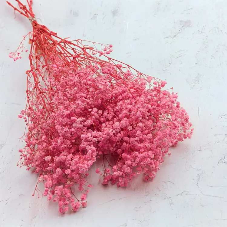 Gips Pink Royal 04 1.png