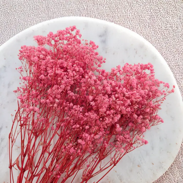 Gips Pink Royal 04 2.png