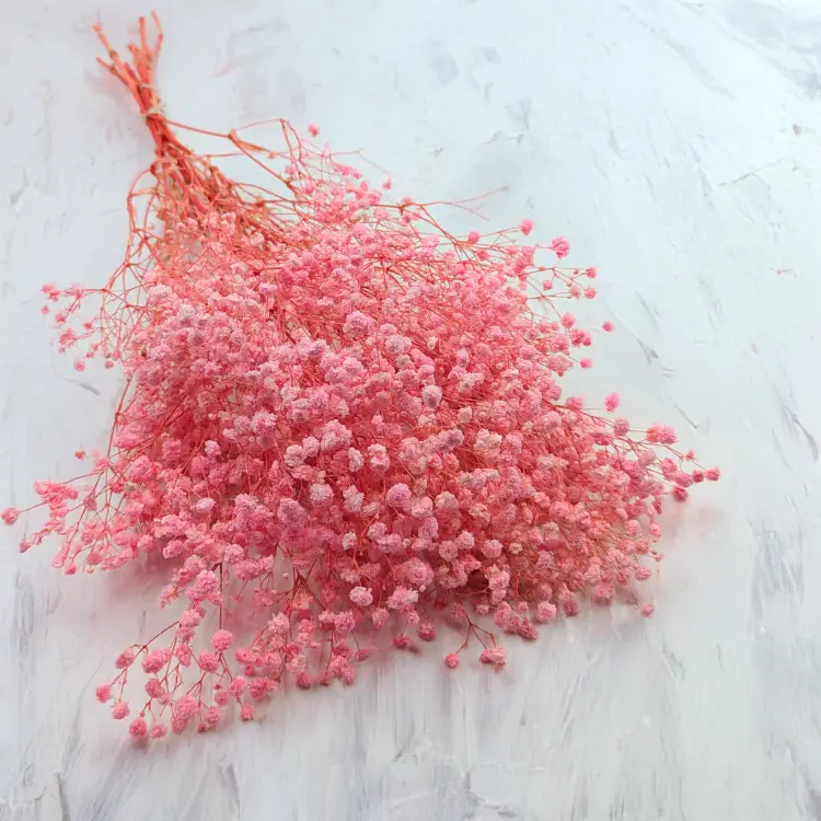 Gips Light Pink Royal 03 2.png