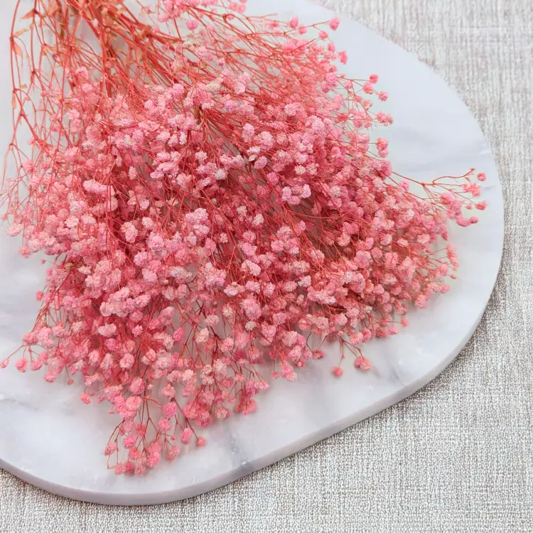 Gips Light Pink Royal 03 4.png