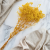 Gips Zolta royal 07 3.png
