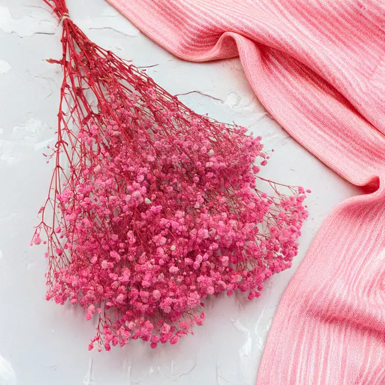 Gips Dark Pink Royal 05 1.png