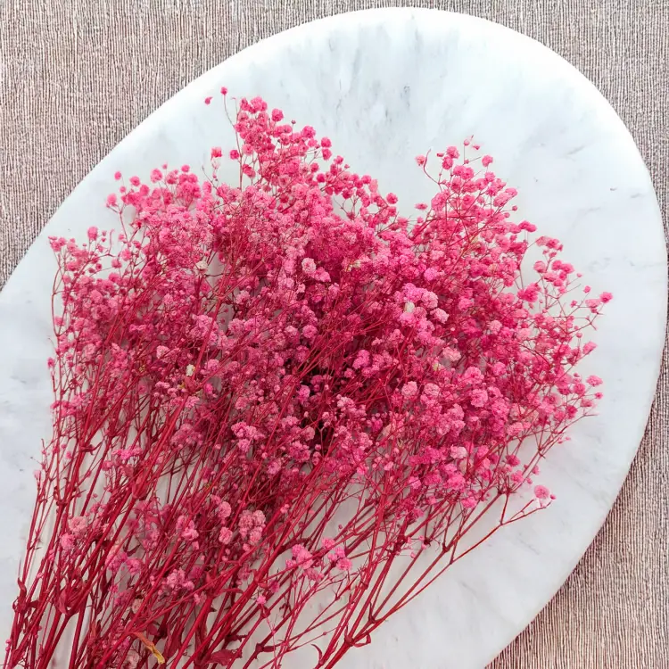 Gips Dark Pink Royal 05 2.png