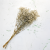 GIPS NATURAL ROYAL 01_1.png