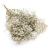 GIPS NATURAL ROYAL 01_6.png