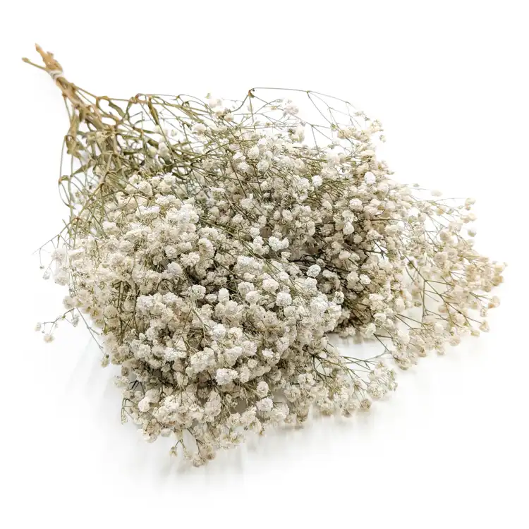 GIPS NATURAL ROYAL 01_6.png