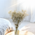 GIPS NATURAL ROYAL 01.png