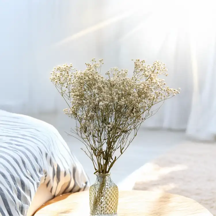 GIPS NATURAL ROYAL 01.png