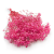 Gips Dark Pink Royal 05.png