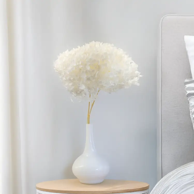 Hydrangea Bleached Royal 02.png