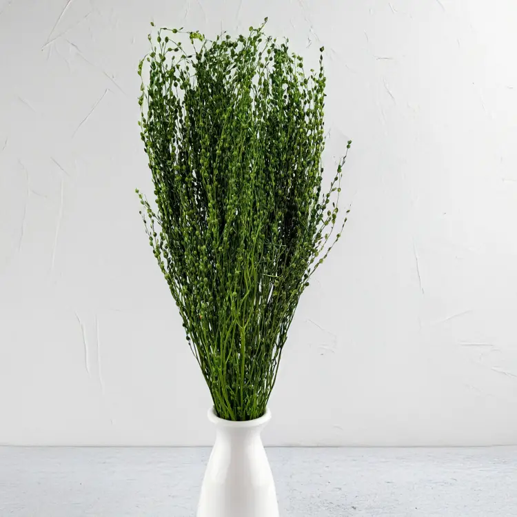 Lepidium butelka 4.png