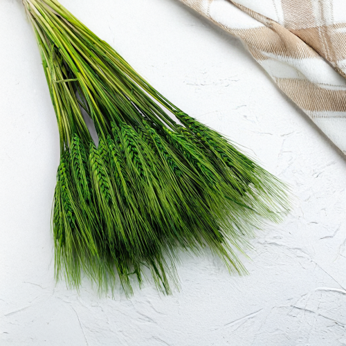 Pszenżyto butelkowa zieleń 1.png