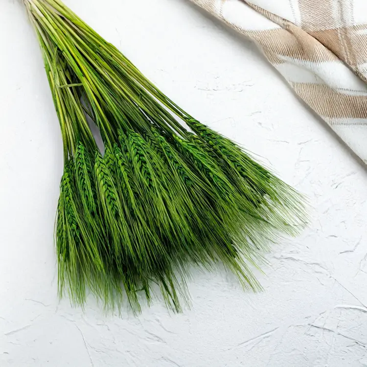 Pszenżyto butelkowa zieleń 1.png