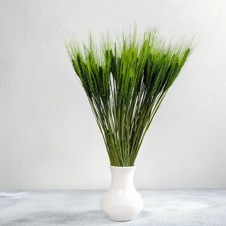 Pszenżyto butelkowa zieleń 3.png