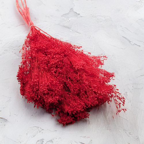 Broom czerwony 1.png