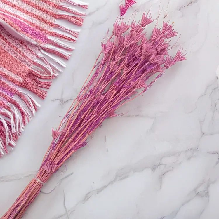 Nigella orient Lila 4.png