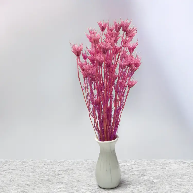 Nigella orient Lila 5.png