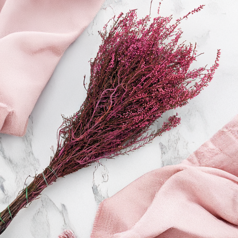 Wrzos różowy RC 3.png