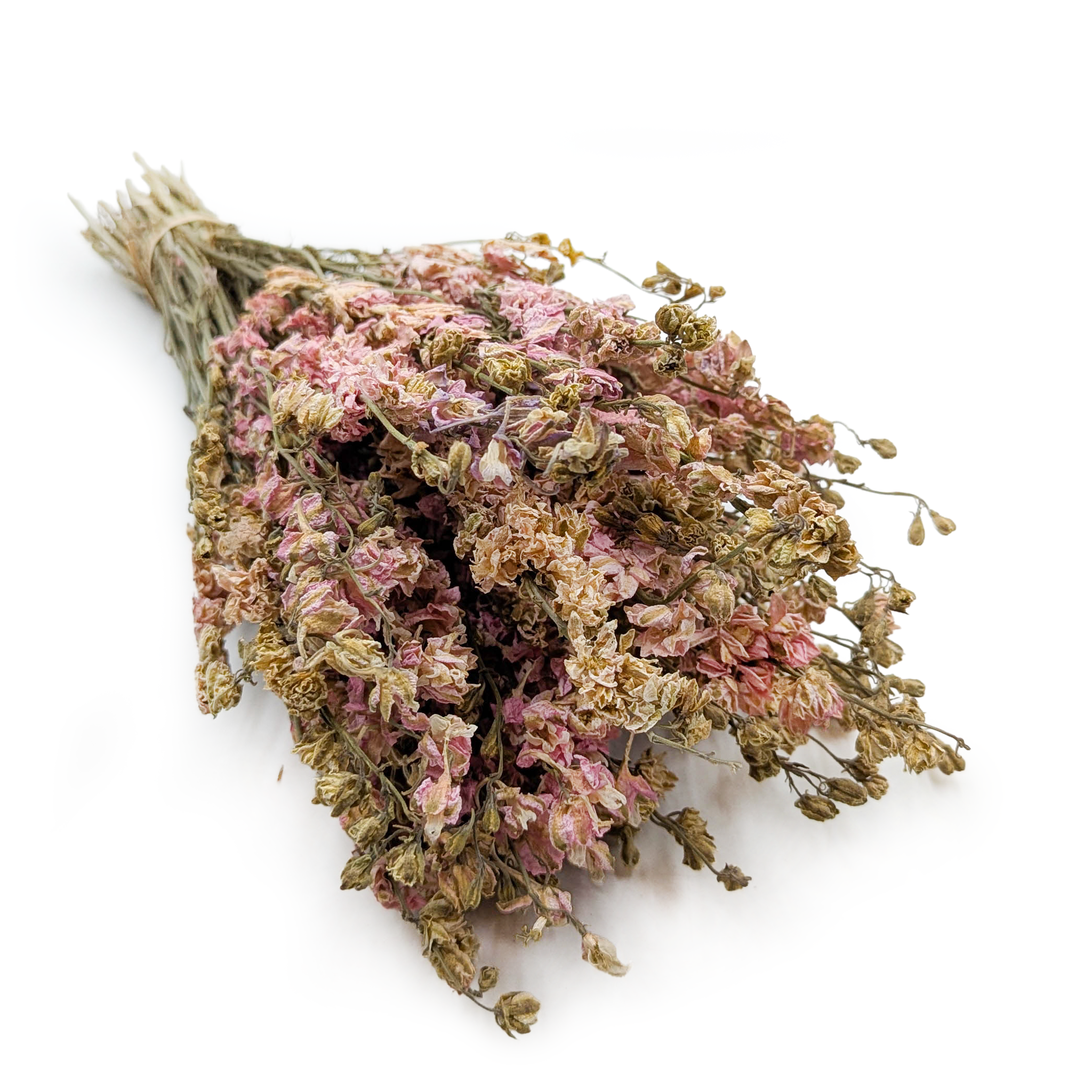 Delphinium Dried - Larkspur - Pink 