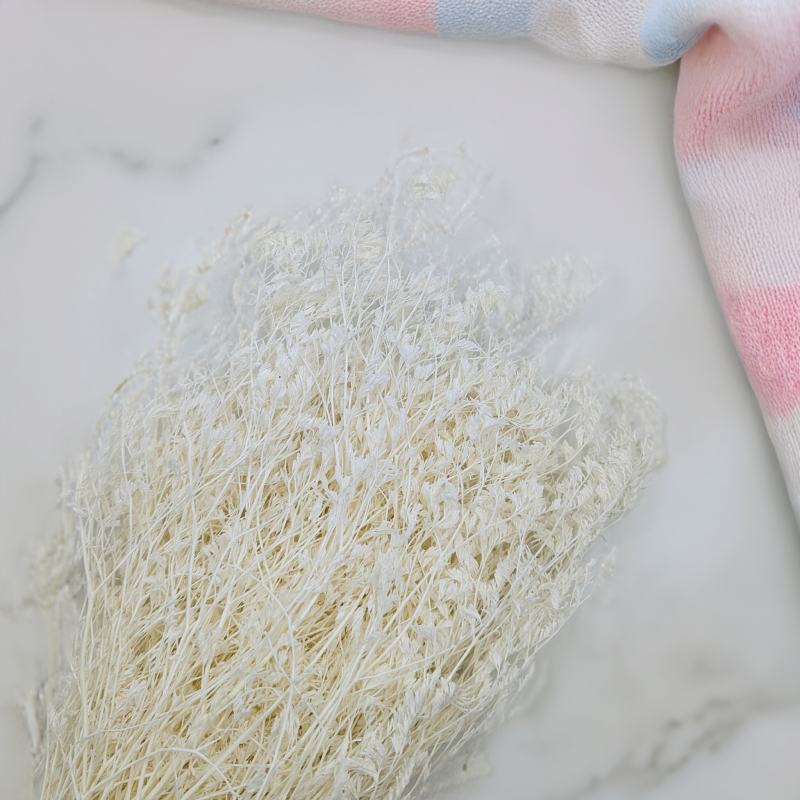 statica Bielona 1.png