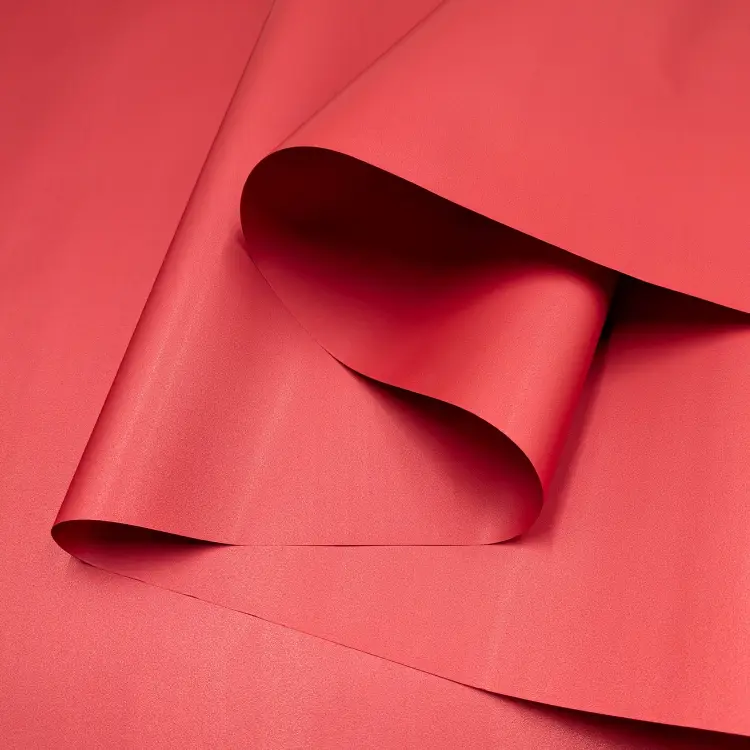 P-VSAT 2340 Koral 3.png