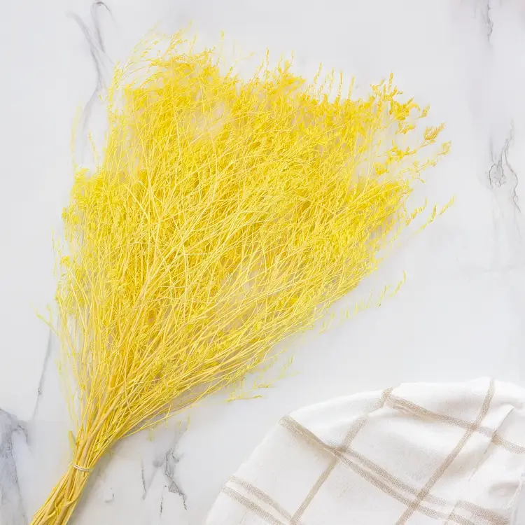 Statice Marine Yellow It 3.png