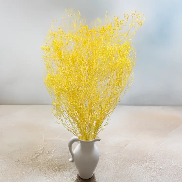 Statice Marine Yellow It 4.png