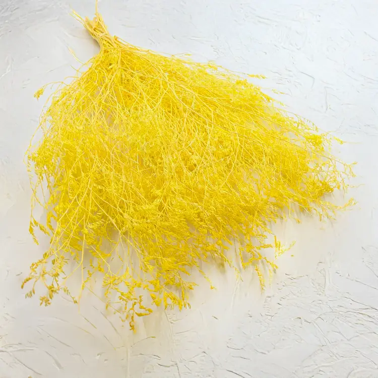 Statice Marine Yellow It 1.png