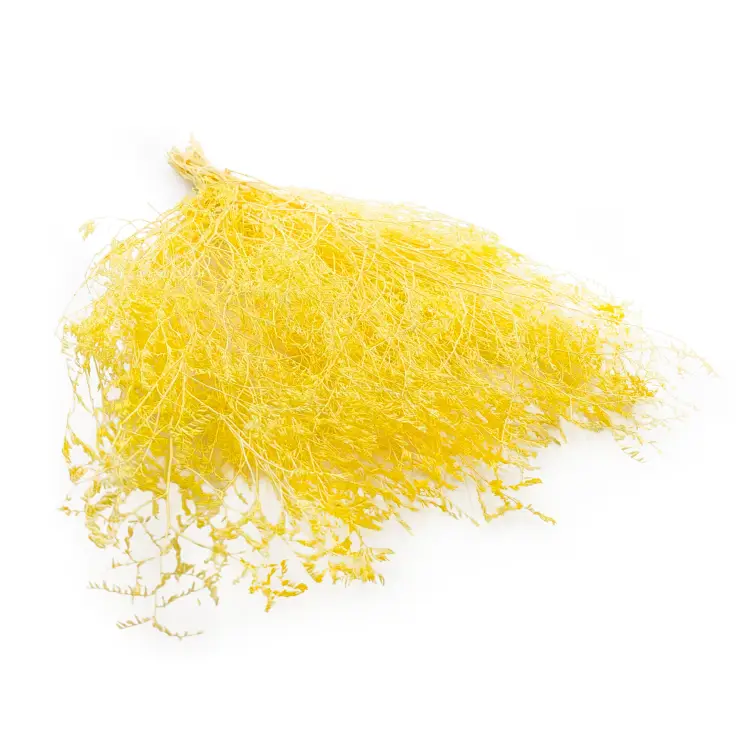 Statice Marine Yellow It 0.png